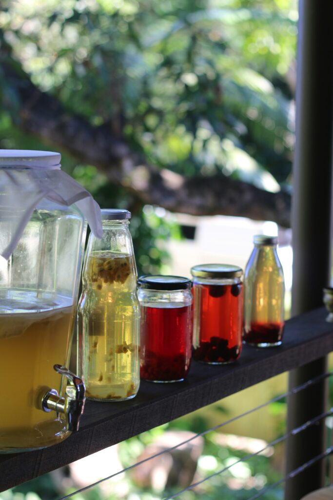 Ferments in jars on shelf