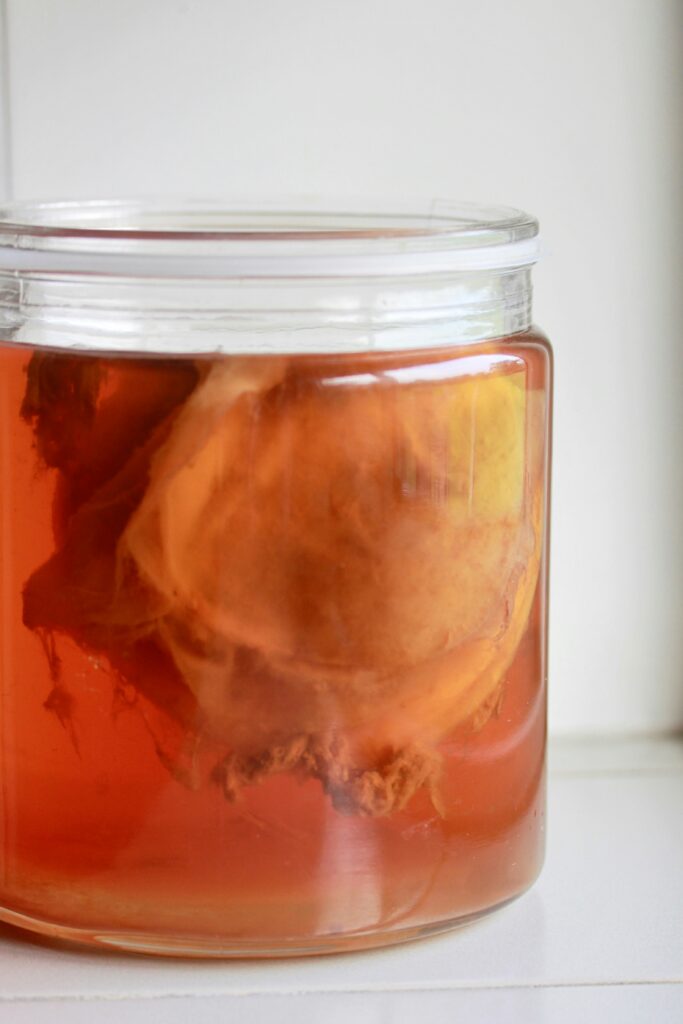 Homemade Kombucha in a jar